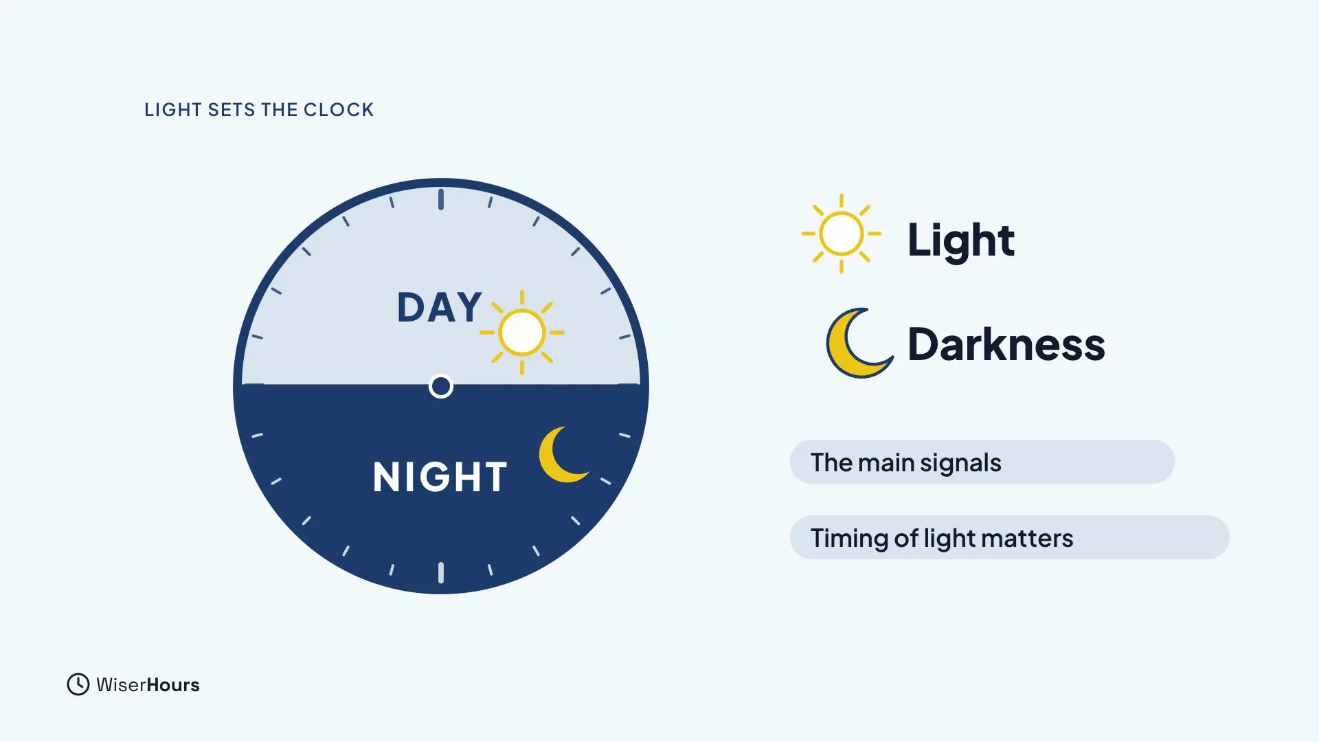 A round body-clock dial with a light day half marked DAY with a sun and a dark night half marked NIGHT with a moon. Beside it the words Light and Darkness have the labels The main signals and Timing of light matters.
