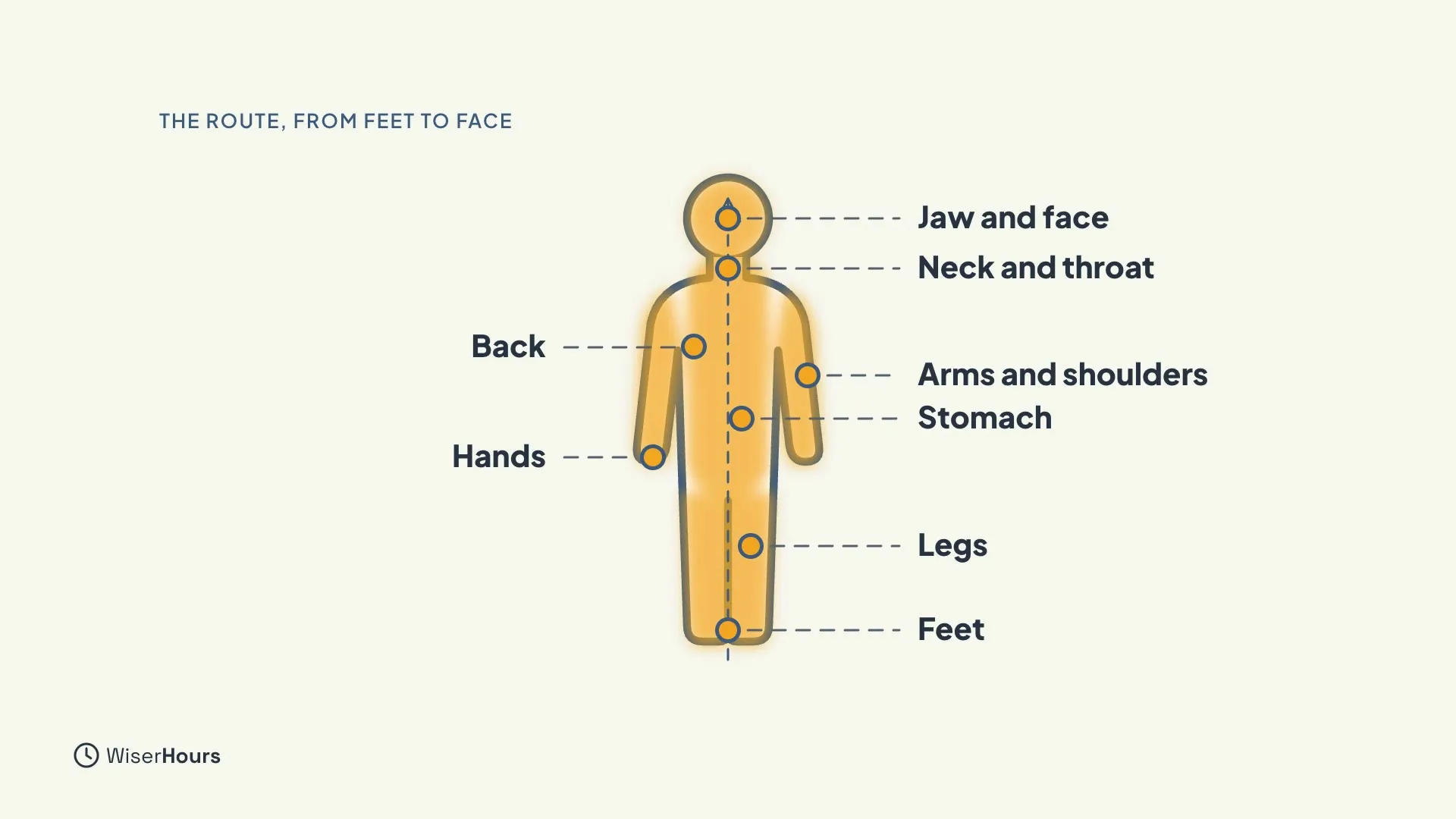A glowing amber body outline with dots joined by a dashed line from the feet up to the face. The labelled points are Feet, Legs, Hands, Back, Stomach, Arms and shoulders, Neck and throat, and Jaw and face.