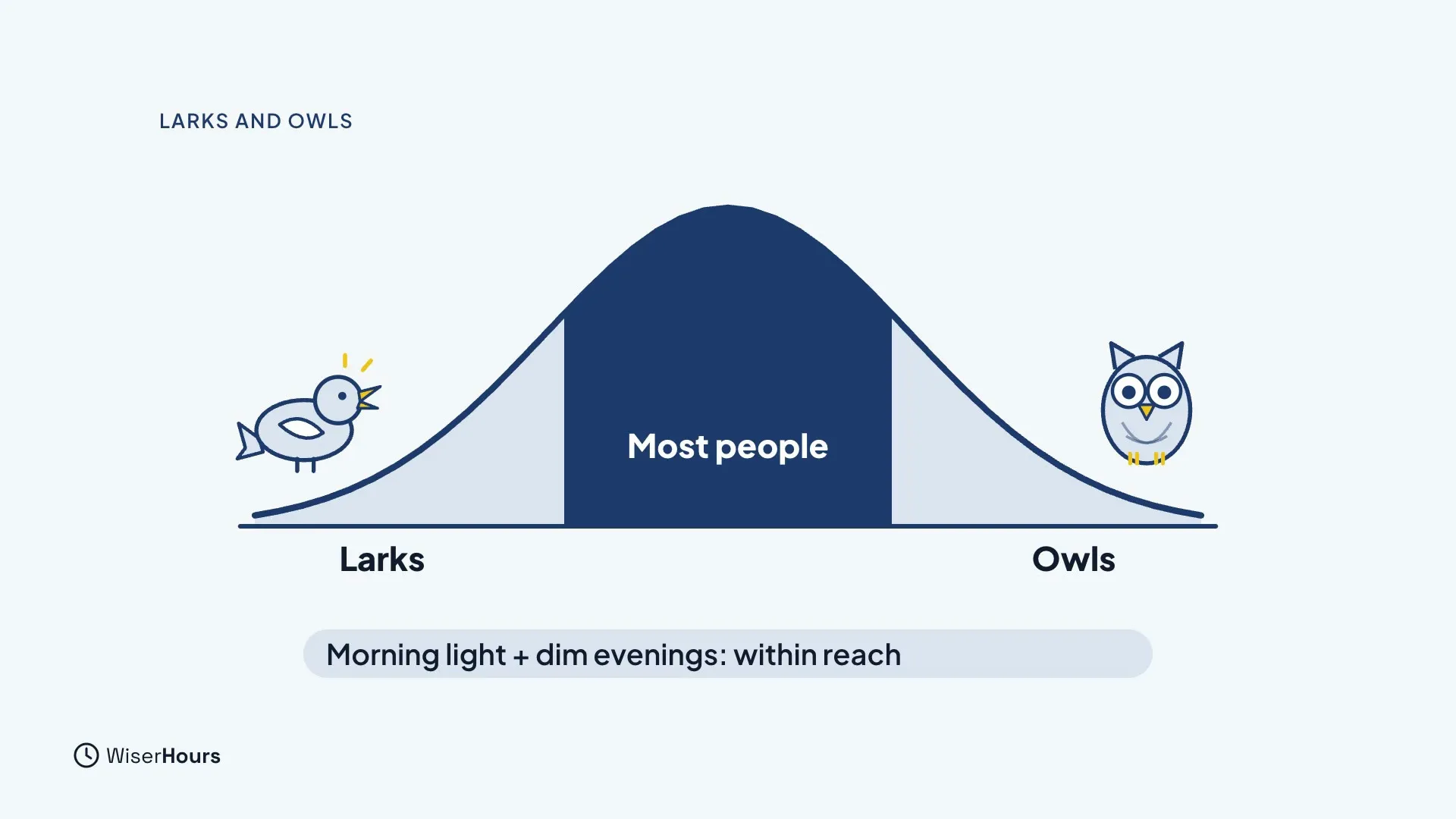 A bell curve with a small bird at the Larks end on the left, an owl at the Owls end on the right, and the middle filled in and labelled Most people. A label says Morning light plus dim evenings: within reach.