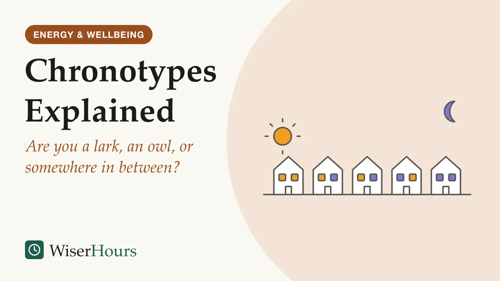 An illustrated cover card headed “Chronotypes Explained”, with the line “Are you a lark, an owl, or somewhere in between?”. Line drawing of a street of five small houses at dawn. A low sun rises above the left end of the street and a crescent moon hangs over the right end. The windows of the leftmost house are lit, the middle houses are partly lit, and the rightmost house is dark.