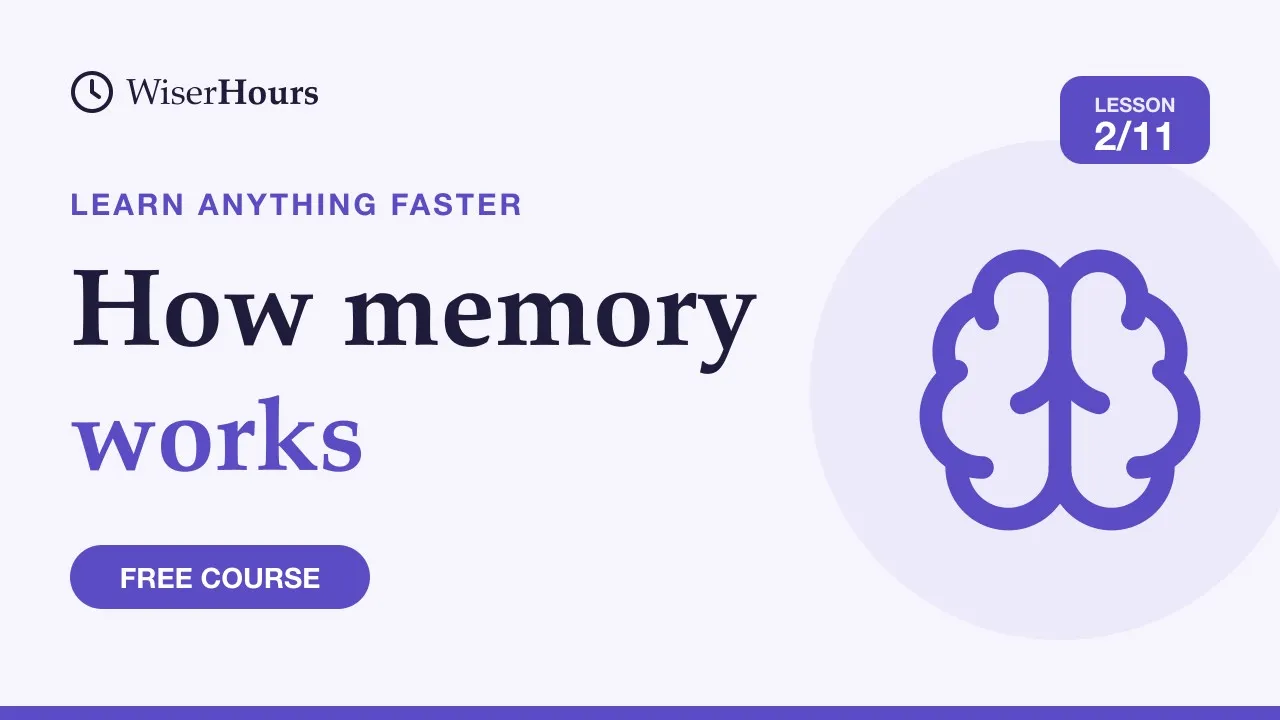 Cover picture for lesson 2: How Memory Works: Take It In, Keep It, Get It Back