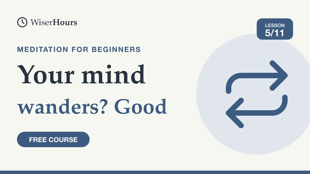 Cover picture for lesson 5: When Your Mind Wanders, That Is the Practice