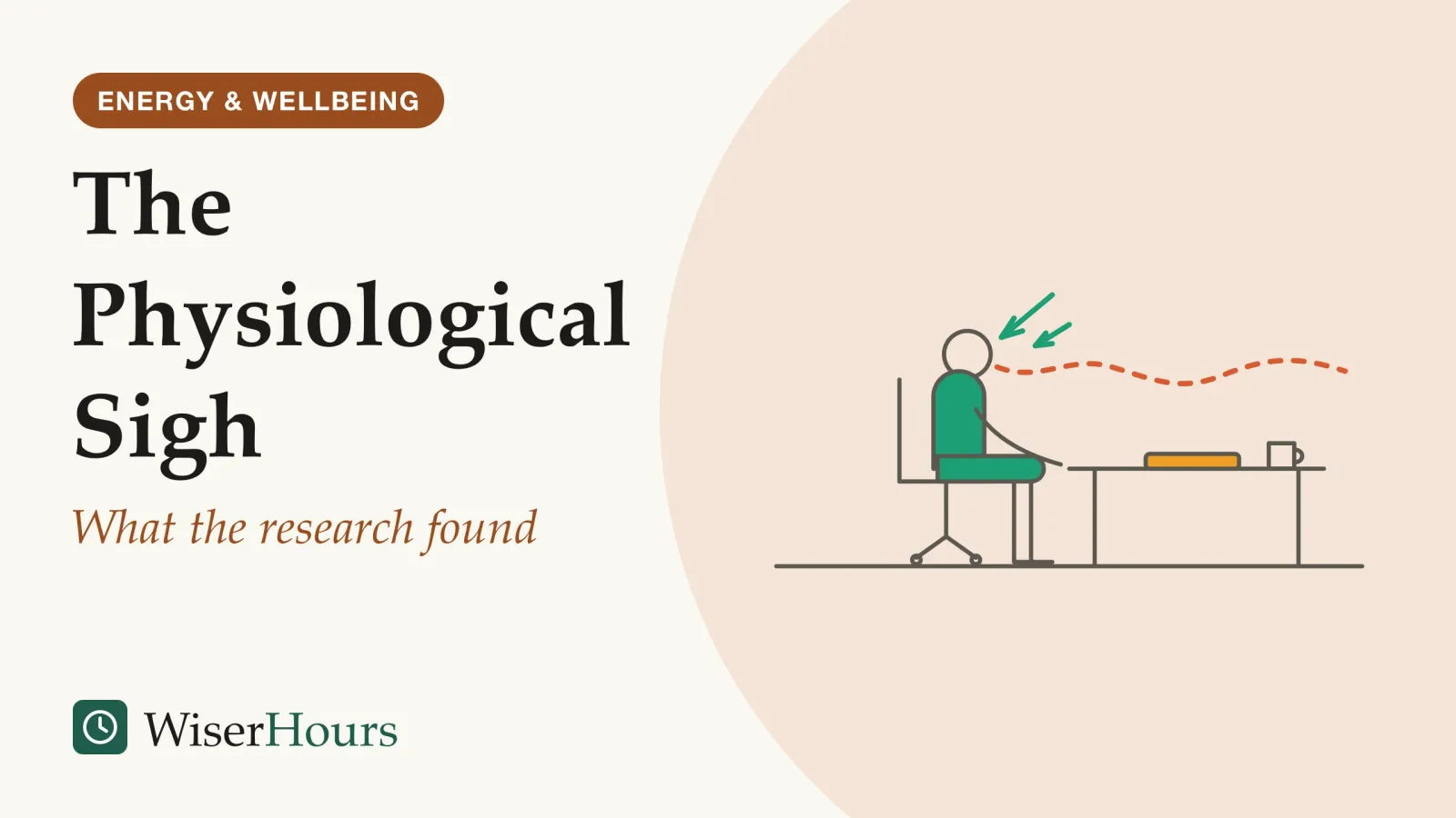 An illustrated cover card headed “The Physiological Sigh”, with the line “What the research found”. Line drawing of a person sitting at a desk beside a closed laptop, with two short arrows pointing in toward their nose and one long, wavy dashed line flowing out and away from their mouth.